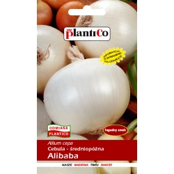 Cebula-Alibaba-biała-5g-ST/Pl